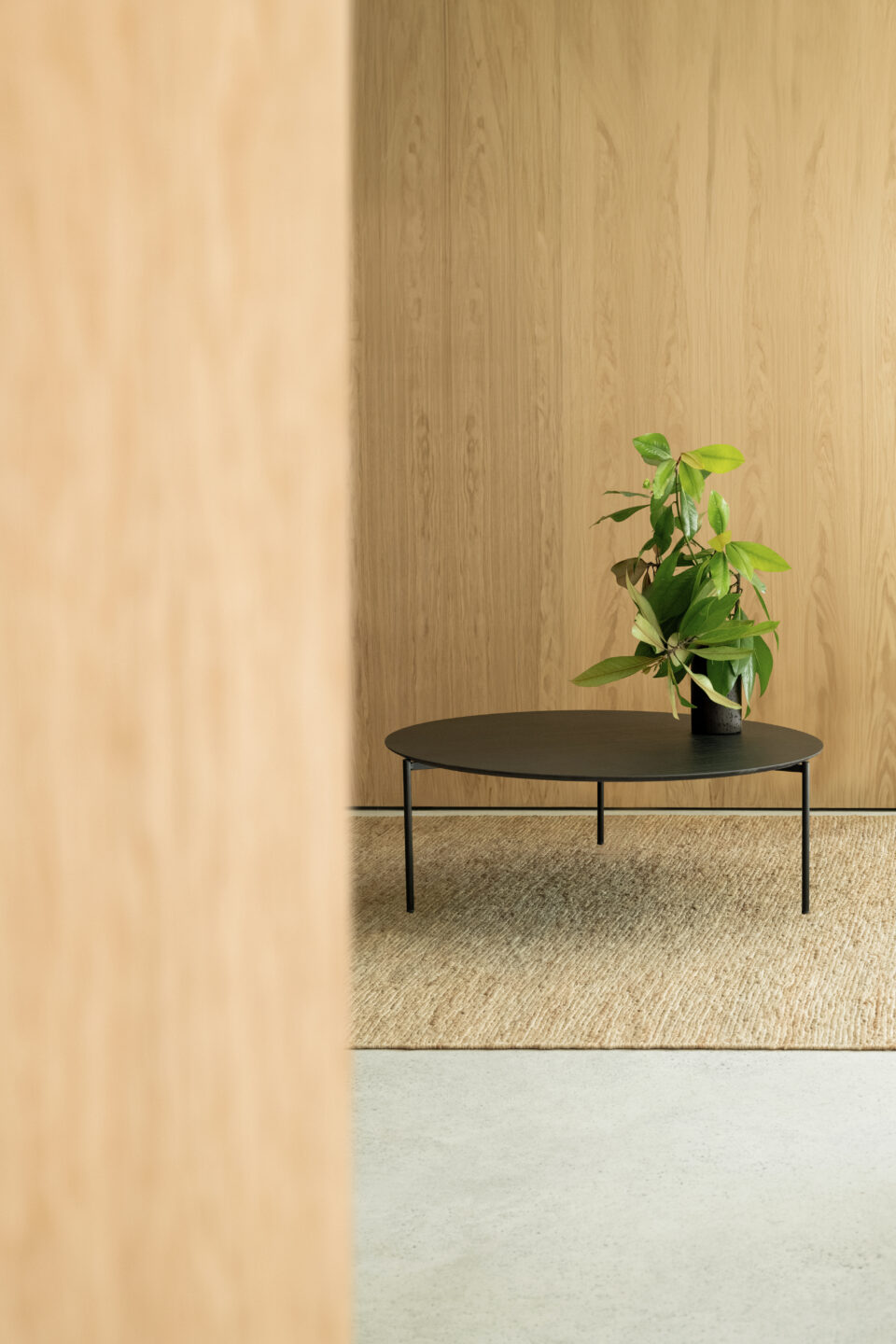 Mesa Pausa de STUA - Imagen 2