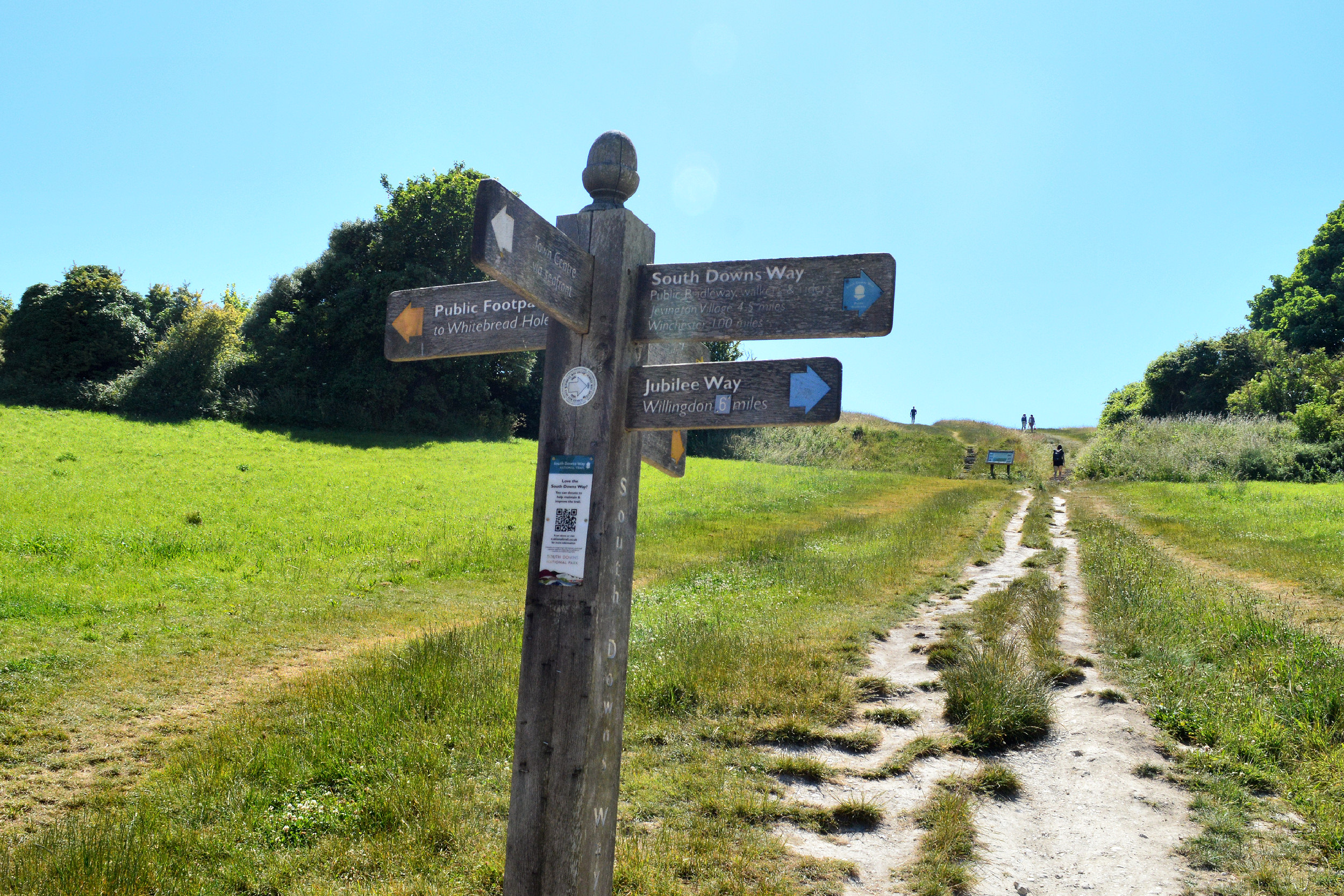 South downs. Саут-Даунс. South downs way. Саут-Даунс тропа в лесу. Windows Саут Даунс.