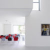 Silla Catifa 46 de Arper - Imagen 13